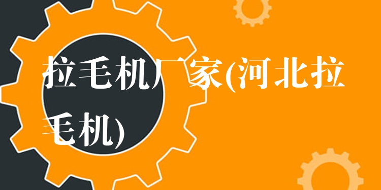 拉毛机厂家